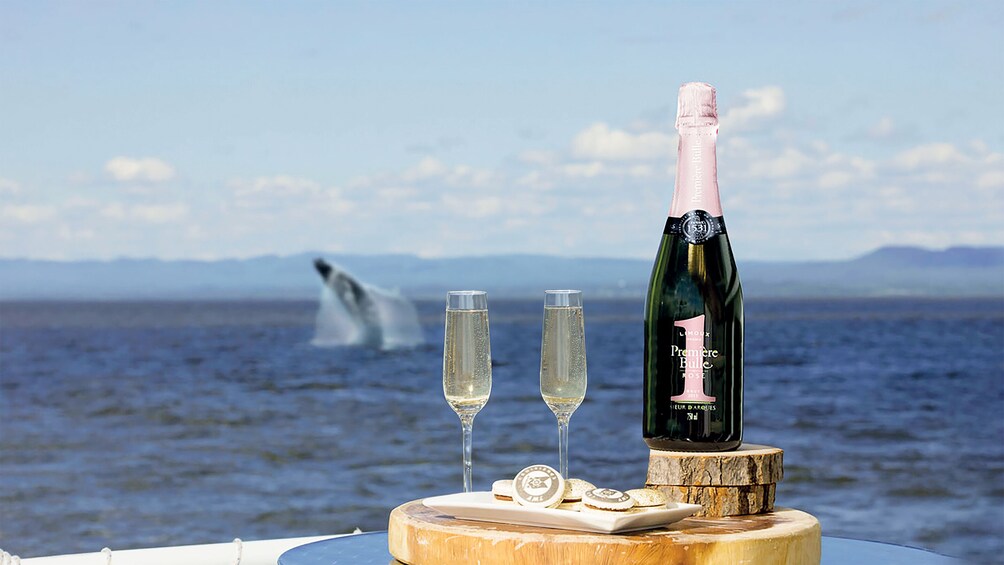 Tadoussac/Charlevoix: VIP Lounge Whale Watching Tour
