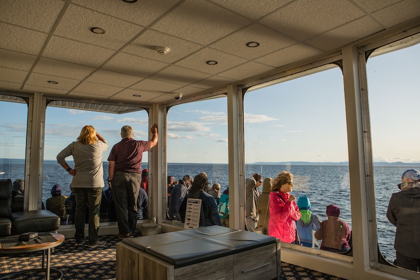 VIP Lounge Whale Watching Cruise