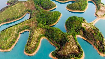 Pinglin Tea Plantation & Thousand Island Lake Tour