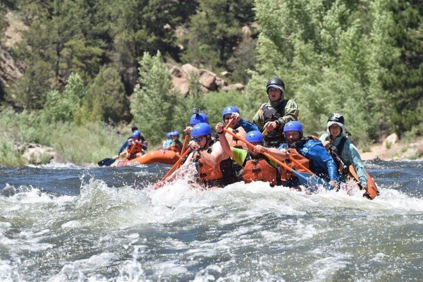 Royal Gorge Half-Day Rafting Trip