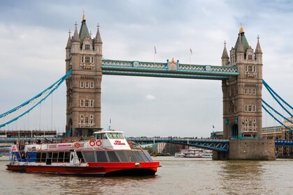 Tour mágico de Harry Potter por Londres con crucero por el río