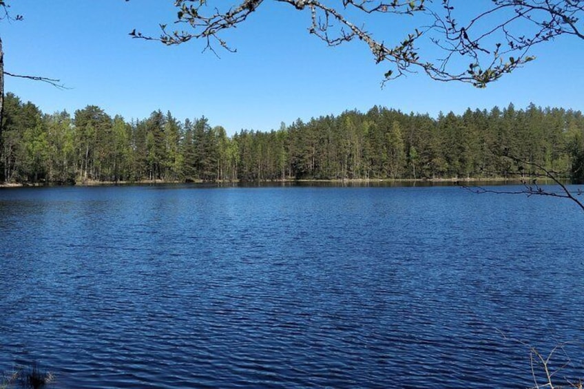 Go North – Private 1 Day Trip to Estonian Nature