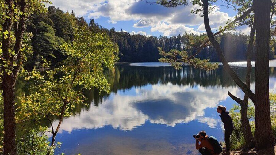 Go North – Private 1 Day Trip to Estonian Nature