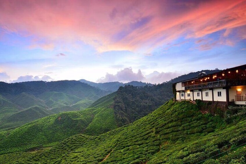 Cameron Highlands, Malaysia