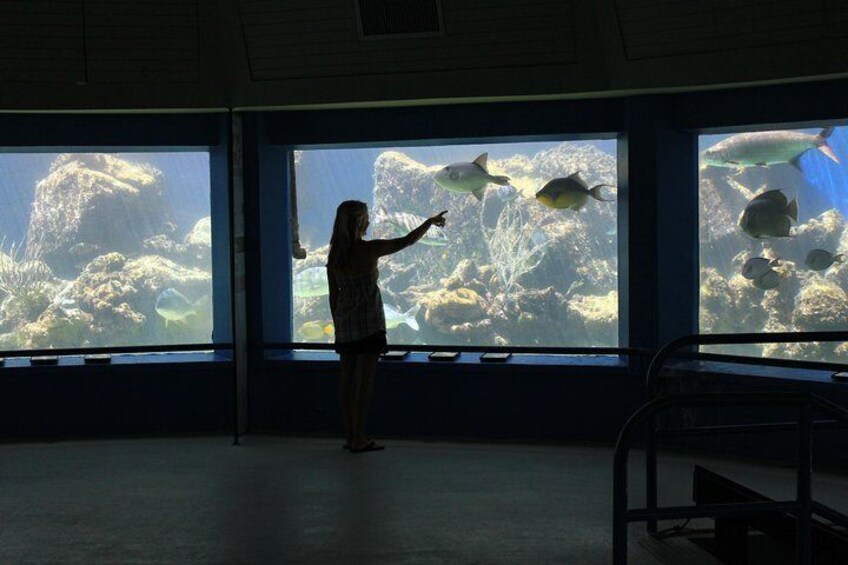 Coral World Ocean Park General Admission Ticket