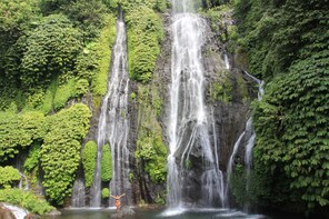 Chasing Bali Waterfalls Shared Tour