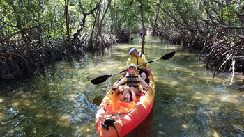 Self Guided Kayak Tour of the Lido Mangrove Tunnels