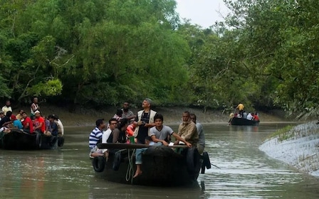 Full Day Excursion To Sunderbans With Jungle Safari