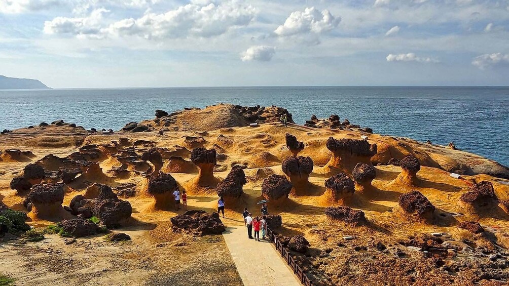 Northeast Coast Tour: Yehliu Geopark, Shifen, Jiufen