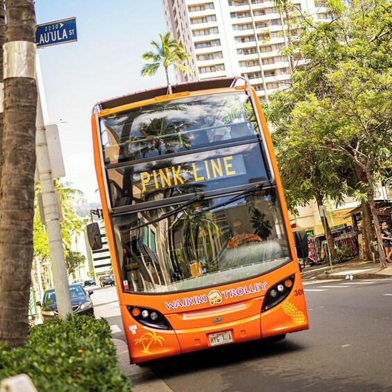 Waikiki Trolley Pass All Line Hop-On Hop-Off