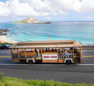 Waikiki Trolley Pass Alle linjer Hop-on Hop-off