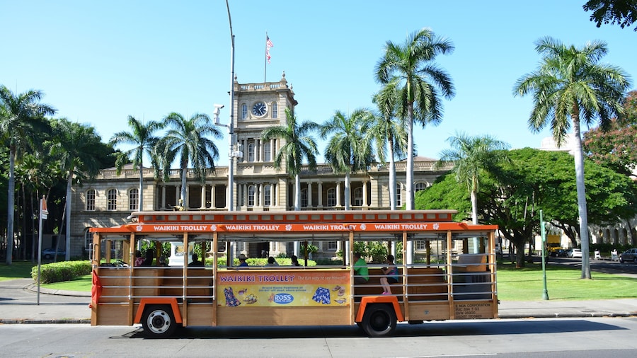 7 Day All Line Hop on Hop off Waikiki Trolley pass
