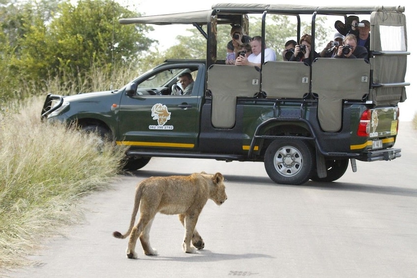 Show item 1 of 6. 4-day Kruger National Park Experience Package (3 star)