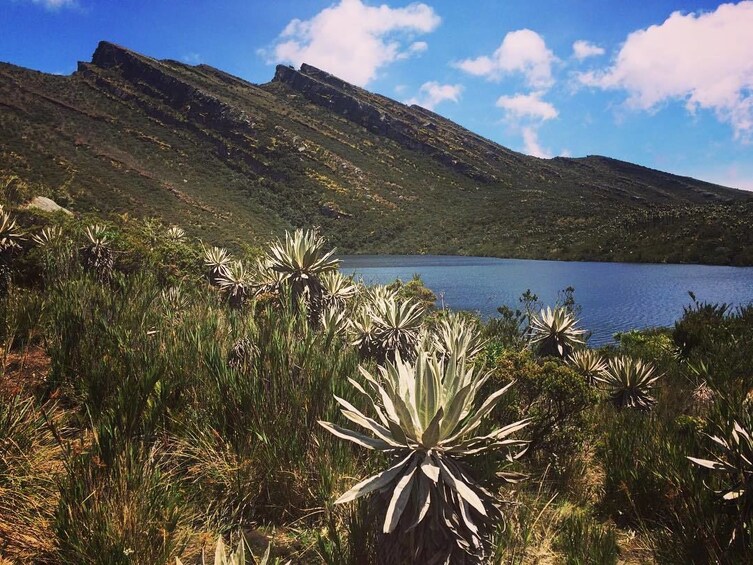 Siecha Pnn Chingaza lakes excursion from Bogota