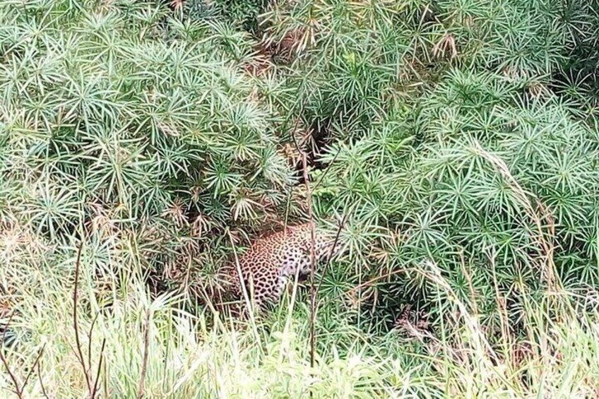 Lake Nakuru National Park; Admission Ticket