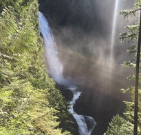 Rainforest and Waterfall Hike with Transportation