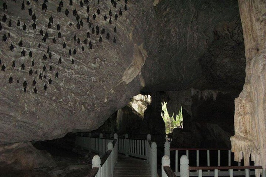 Langkawi Mangrove Kilim UNESCO Geopark and Cave Exploring Tour