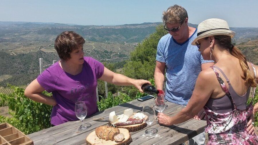 Wine tasting at Priorat winery