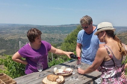 WINE TOUR PRIORAT: Visit 2 Top Wineries, Wine Tasting & Gourmet Lunch