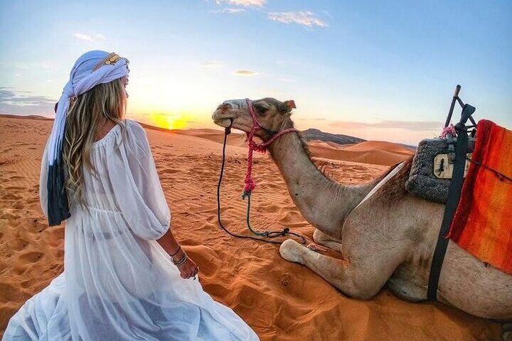 Morning Desert Safari, 25-Minutes Quad Bike and 20-Minutes Camel Ride