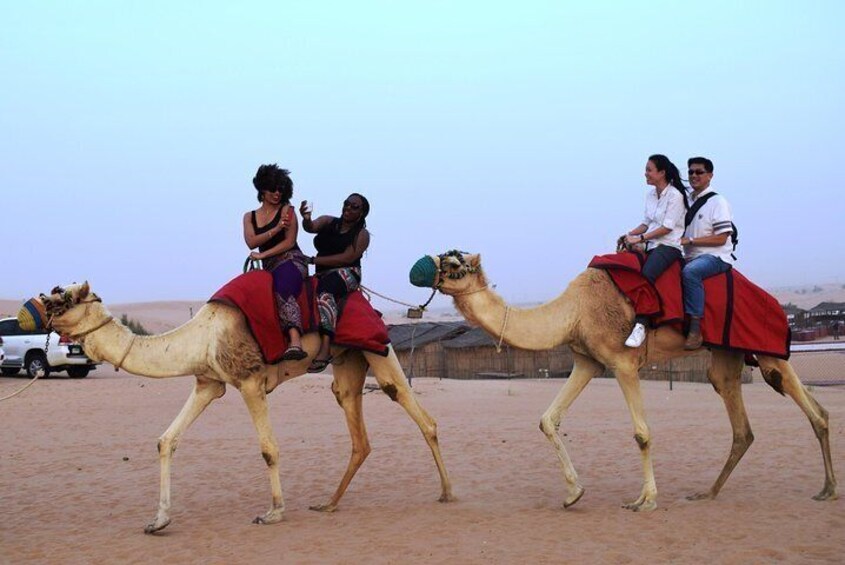 Camel Riding