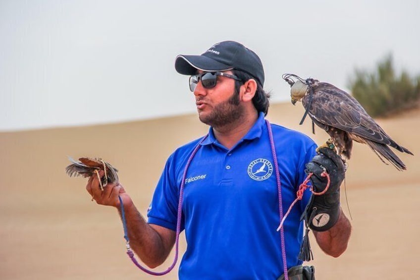 Falcon show