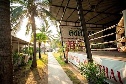 Muay Thai Holiday Package (3 Days, 3 Nights: Training & Room Stay)