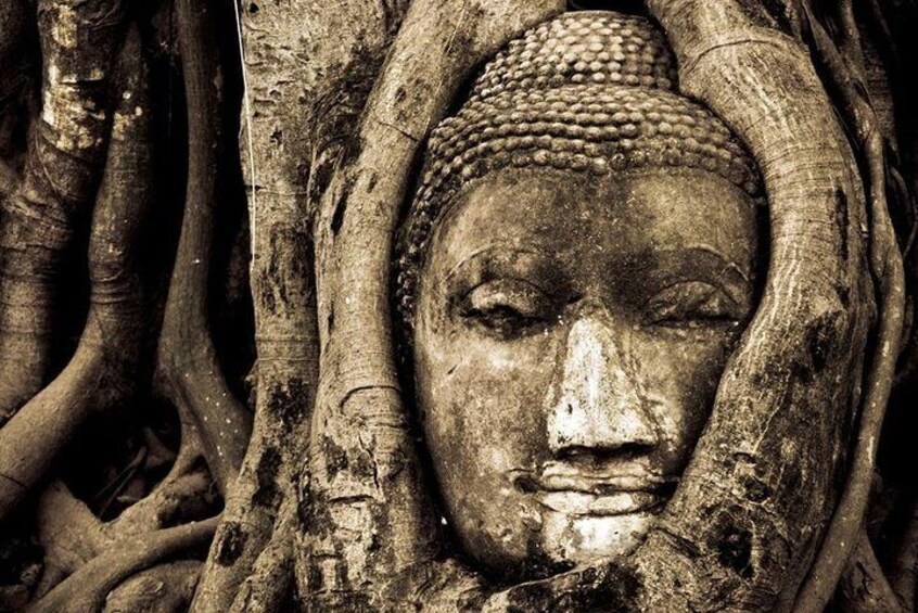 Face of Buddha - Ayutthaya