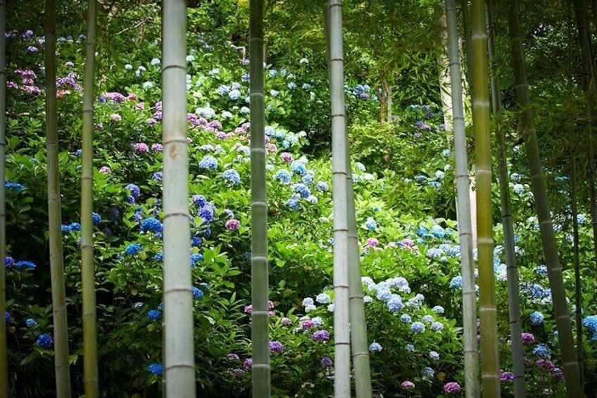 Hasedera Temple