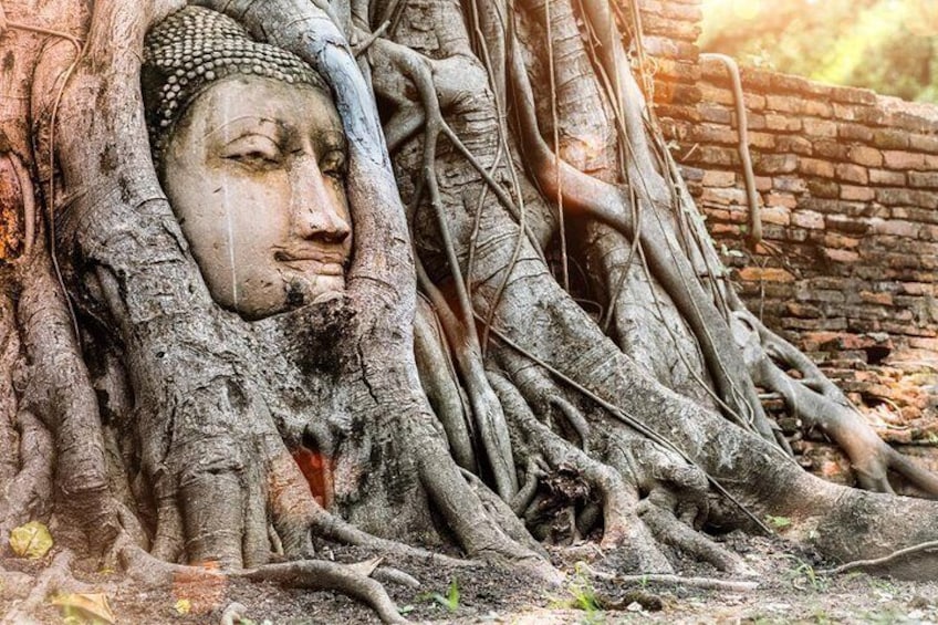 Buddha Face Tree