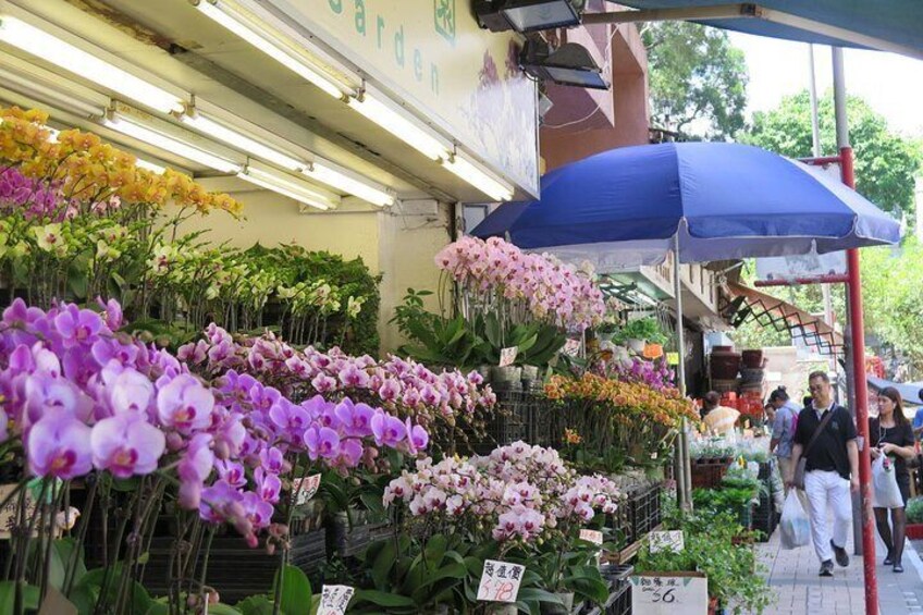 Flower Market