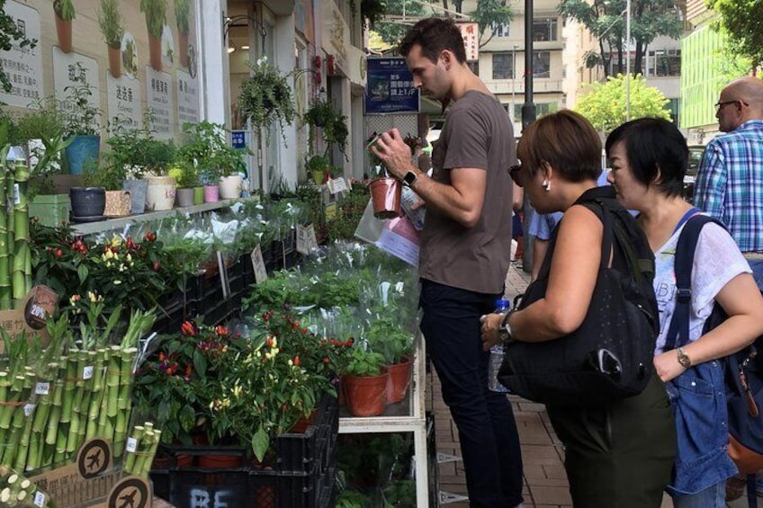 Flower Market