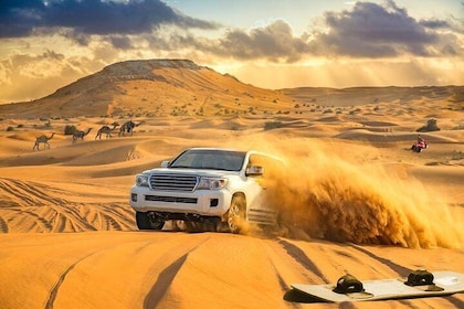 Safari nelle dune rosse con sandboarding, giro in cammello e barbeque a sce...