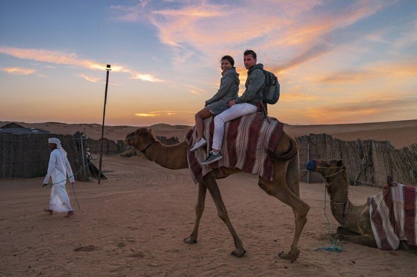 Camel Rides Dubai