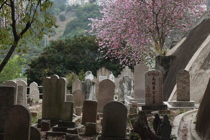 Private colonial Cemeteries tour