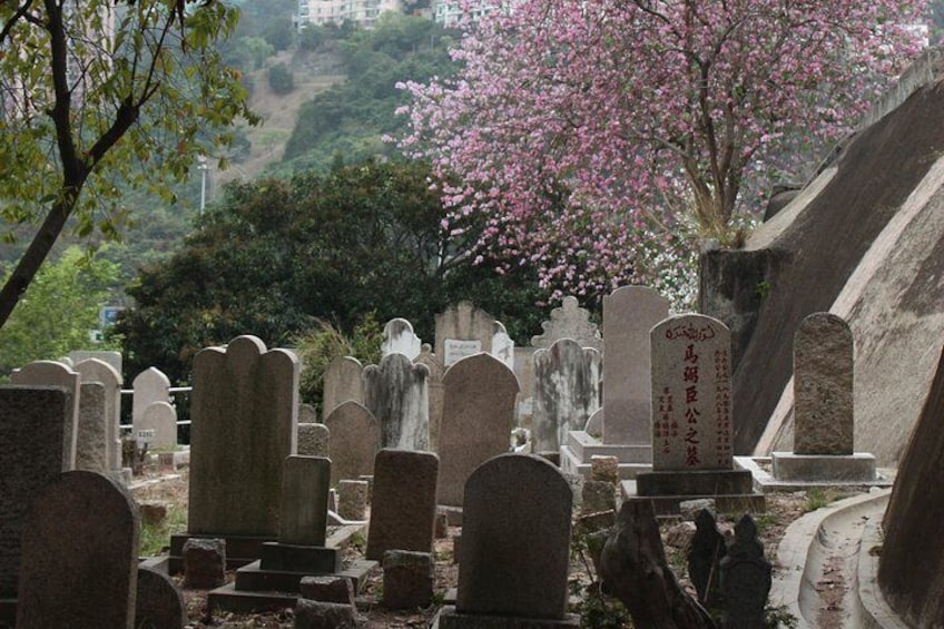 Private colonial Cemeteries tour