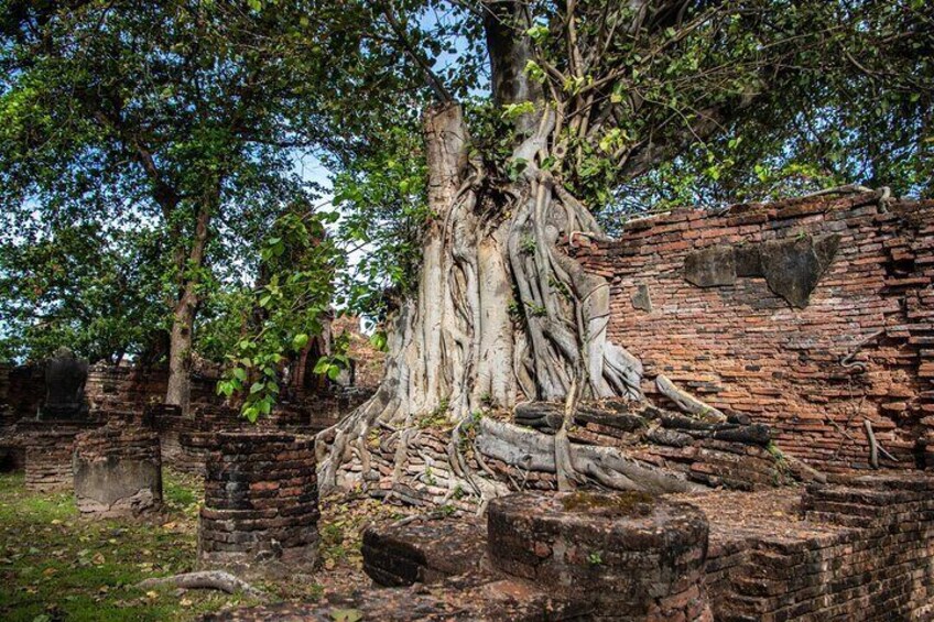 Private Tour : Ayutthaya Sightseeing by Coach return by Cruise