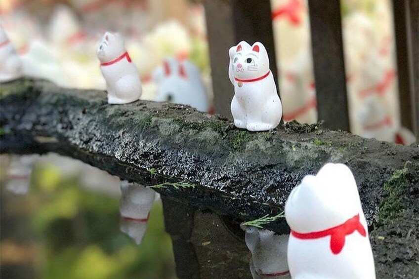 Private Tour - Thousands of Manekineko! Gotokuji Walking Tour!