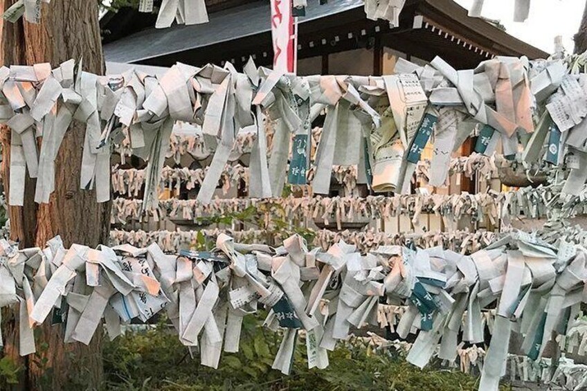 Private Tour - Thousands of Manekineko! Gotokuji Walking Tour!