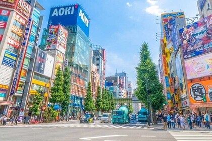Private Tour Enjoy Shopping in the Sub Culture Paradise Akihabara