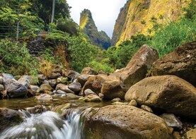 Shore Excursion: Iao Valley & Maui Tropical Plantation Tram