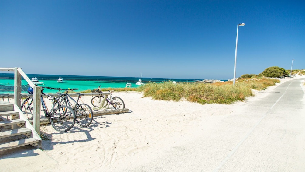 Rottnest Island Bike & Ferry Package