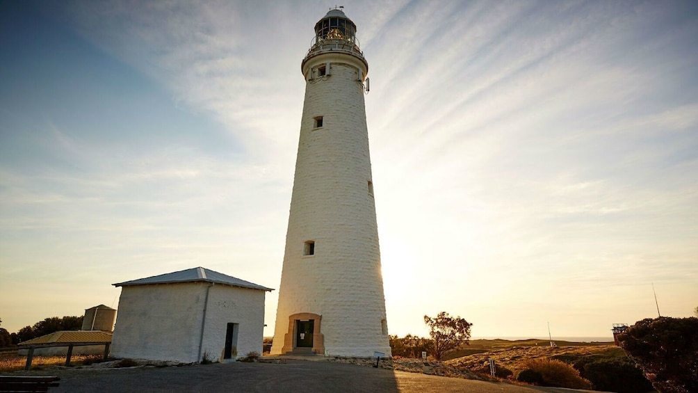 Rottnest Island Bike & Ferry Package