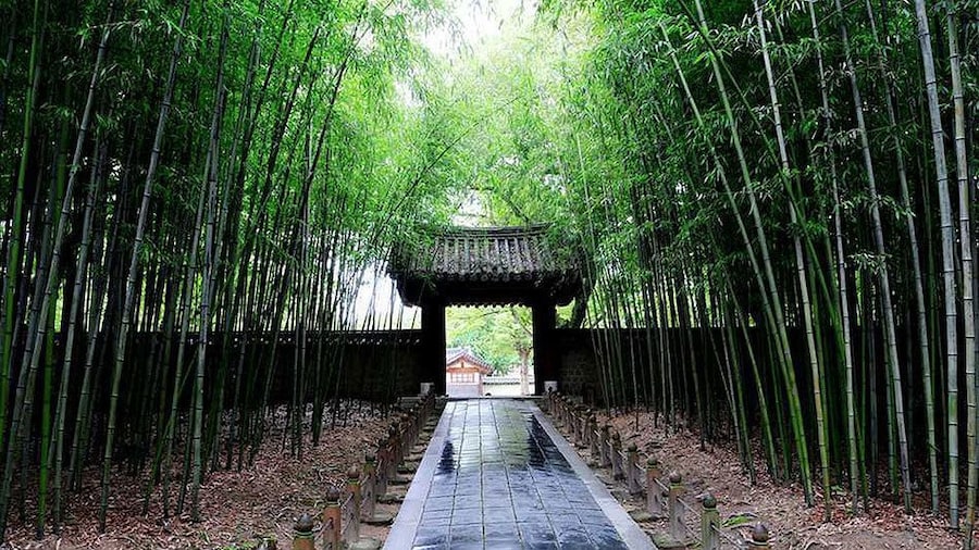 Jeonju Hanok Village Tour
