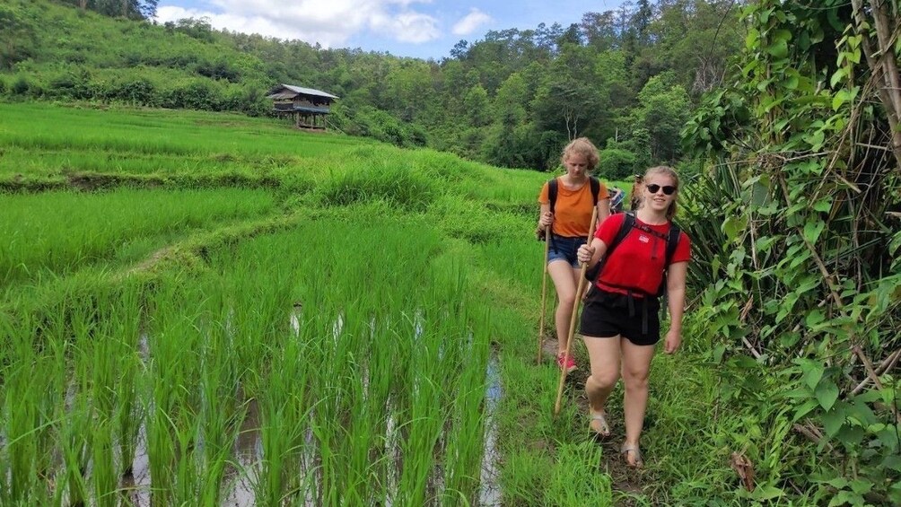 Tourists trekking through Karen Village, Thailand