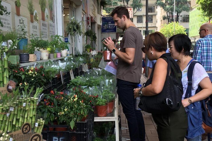 Flower Market