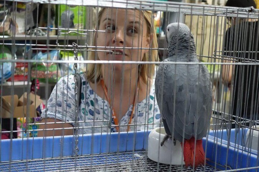 Bird Garden
