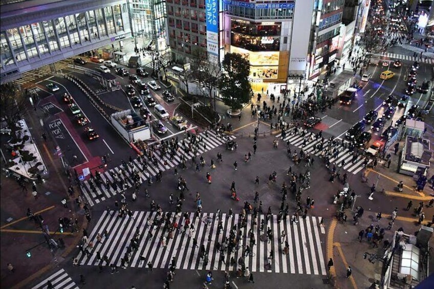 Harajuku and Shibuya Evening Walking Tour