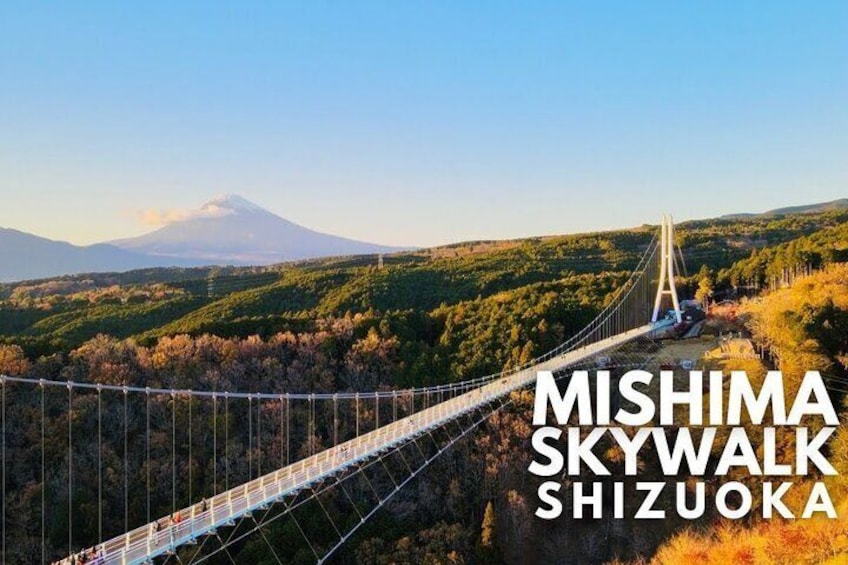 Mishima Skywalk
