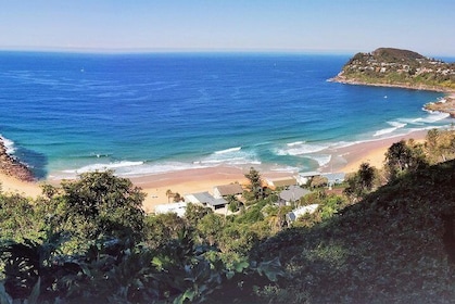 Golden Beaches and Ocean Vistas MANLY AND NORTHERN BEACHES PRIVATE TOUR